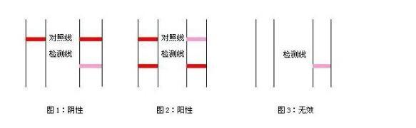 【阳性跟阳性+有什么区别,阳性和阳性哪个是怀孕了】 【阳性跟阳性+有什么区别,阳性和阳性哪个是怀孕了】