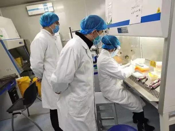 巴南新冠肺炎疫情/巴南区新型冠状病毒 巴南新冠肺炎疫情/巴南区新型冠状病毒