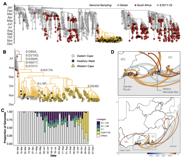 南昌新建区疫情防控政策/南昌新建区疾病预防控制中心 南昌新建区疫情防控政策/南昌新建区疾病预防控制中心