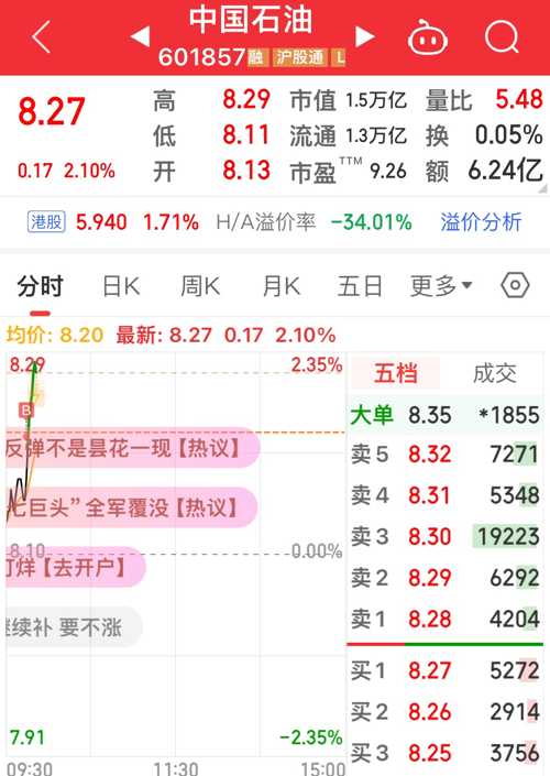 【中石油发行价和开盘价,中石油的开盘价】 【中石油发行价和开盘价,中石油的开盘价】