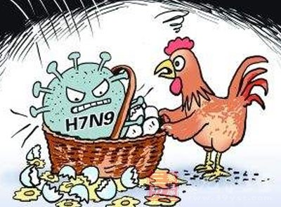 h7n9型禽流感死了多少人:h7n9禽流感致死率 h7n9型禽流感死了多少人:h7n9禽流感致死率