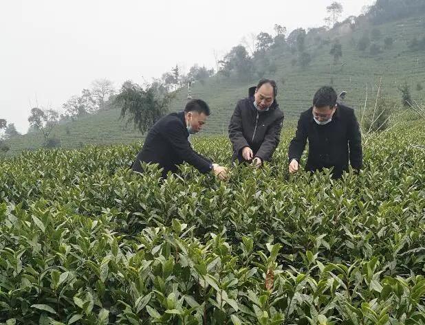 【辽宁沈阳新增确诊病例/辽宁沈阳新增一例活动轨迹】 【辽宁沈阳新增确诊病例/辽宁沈阳新增一例活动轨迹】
