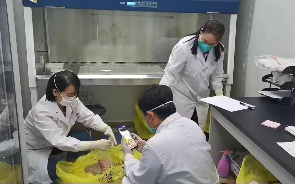 3月15日撤除核酸/核酸检查取消 3月15日撤除核酸/核酸检查取消