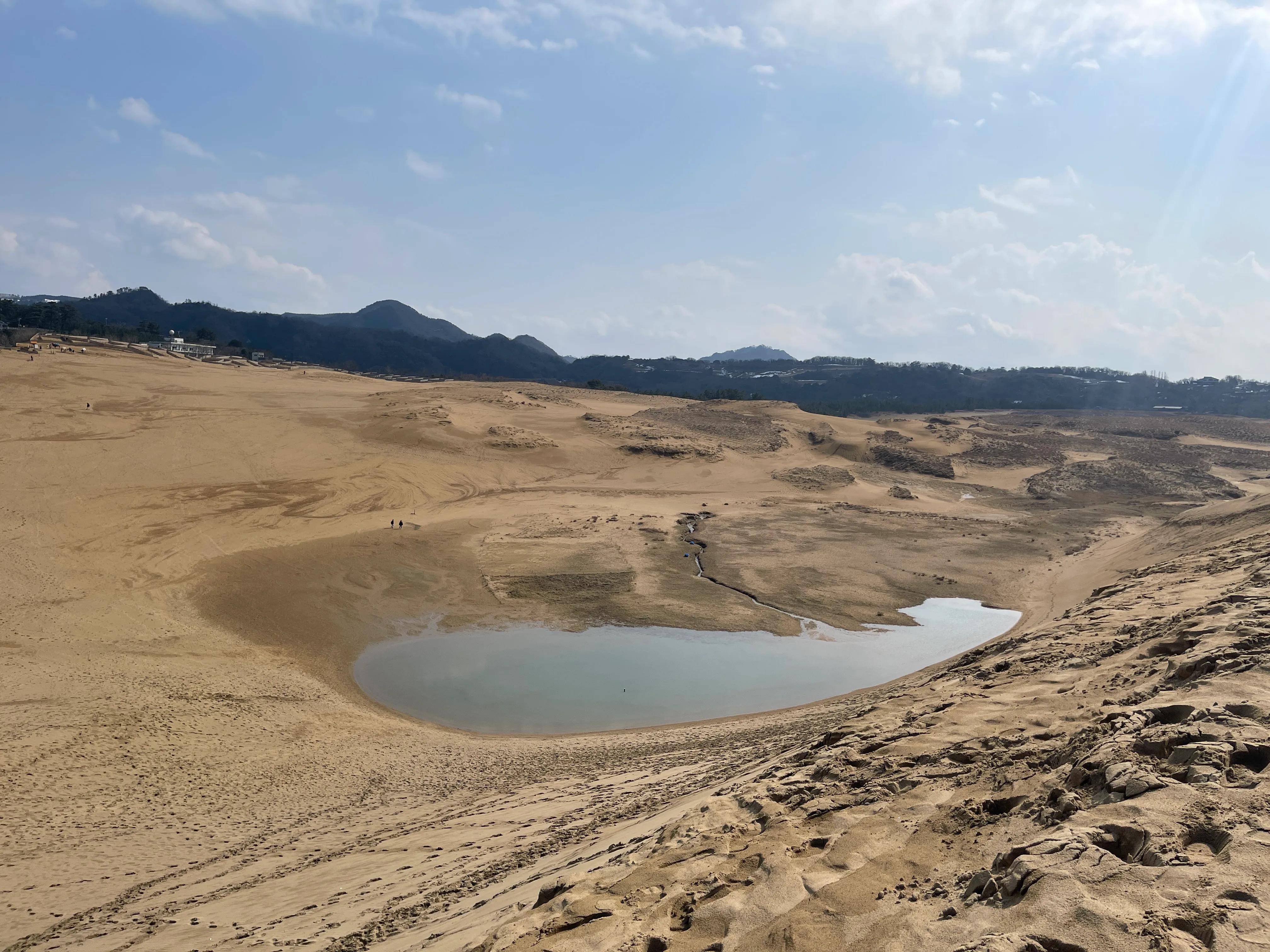 【和平精英沙丘模式,和平精英沙漠模式】 【和平精英沙丘模式,和平精英沙漠模式】