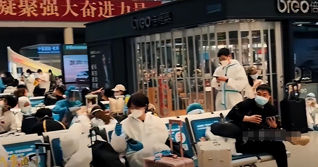 上海一号有什么用/上海1号 上海一号有什么用/上海1号