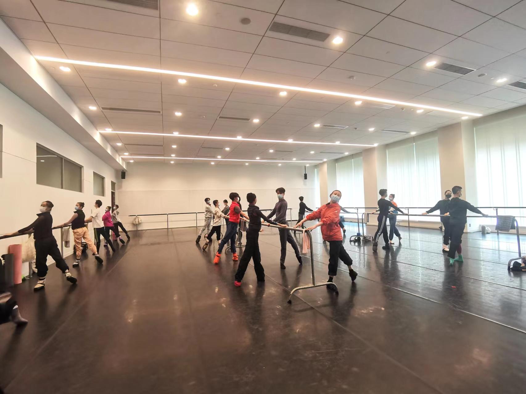 上海一号有什么用/上海1号 上海一号有什么用/上海1号