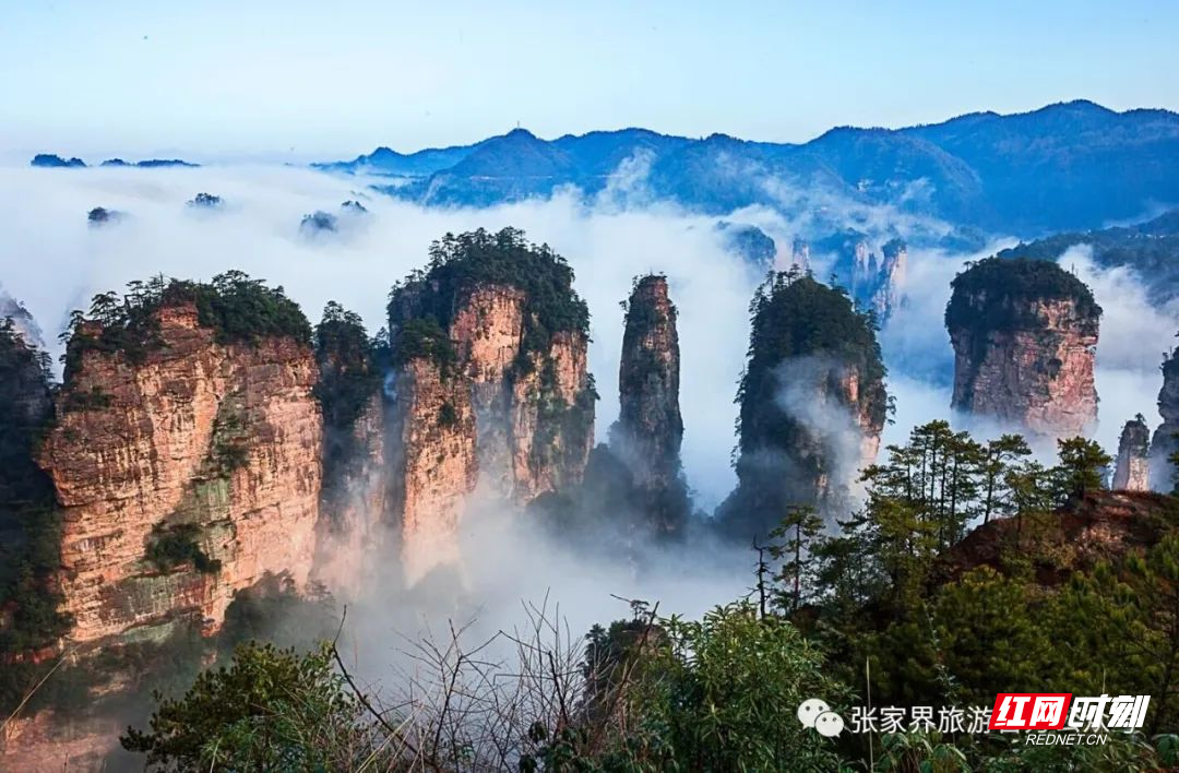 张家界一地升高风险地区/张家界多地由高风险调为中风险 张家界一地升高风险地区/张家界多地由高风险调为中风险