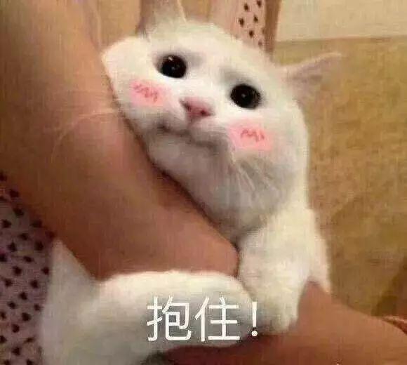 【快递什么时候放假?,快递什么时候放假停运】 【快递什么时候放假?,快递什么时候放假停运】