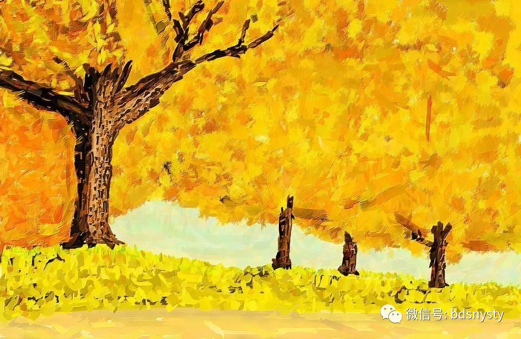 黑龙江新增本土4例轨迹/黑龙江新增4例本土病例轨迹