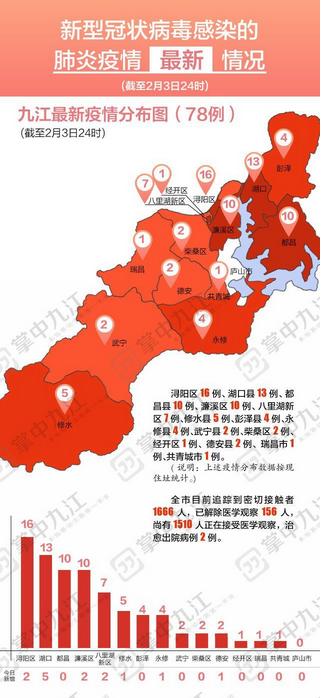 猫查出新冠/猫染上新冠 猫查出新冠/猫染上新冠