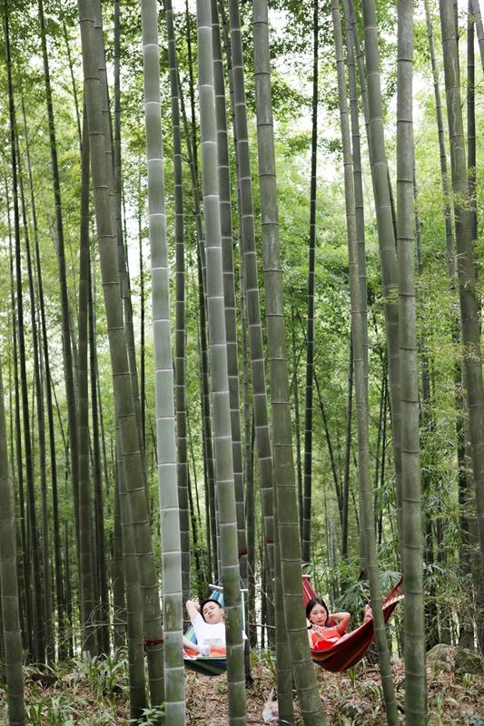 重庆永川疫情最新情况/重庆永川的疫情情况 重庆永川疫情最新情况/重庆永川的疫情情况