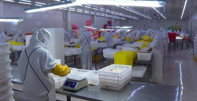 【大连冷链食品疫情防控工作方案,大连加强冷链冻品疫情防控】 【大连冷链食品疫情防控工作方案,大连加强冷链冻品疫情防控】