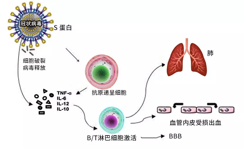 生活常识集锦:生活常识集锦图片 生活常识集锦:生活常识集锦图片