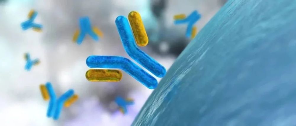 北京尾号限行9月30日:北京尾号限行9月30日怎么处罚 北京尾号限行9月30日:北京尾号限行9月30日怎么处罚