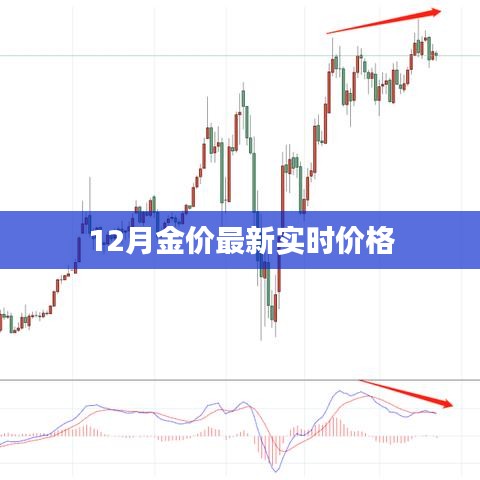 金价今日(金价今日实时行情) 金价今日(金价今日实时行情)