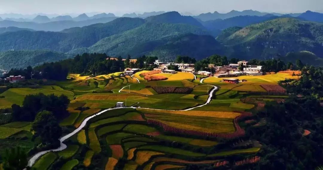 【美容院传染病事故/美容院 传染病】