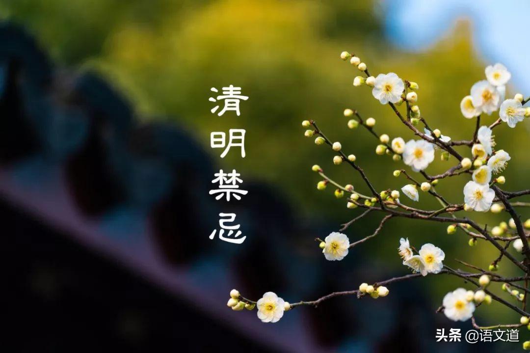 清明节每年都是4月5号吗对吗(清明节是每年的阳历4月5日对不对) 清明节每年都是4月5号吗对吗(清明节是每年的阳历4月5日对不对)