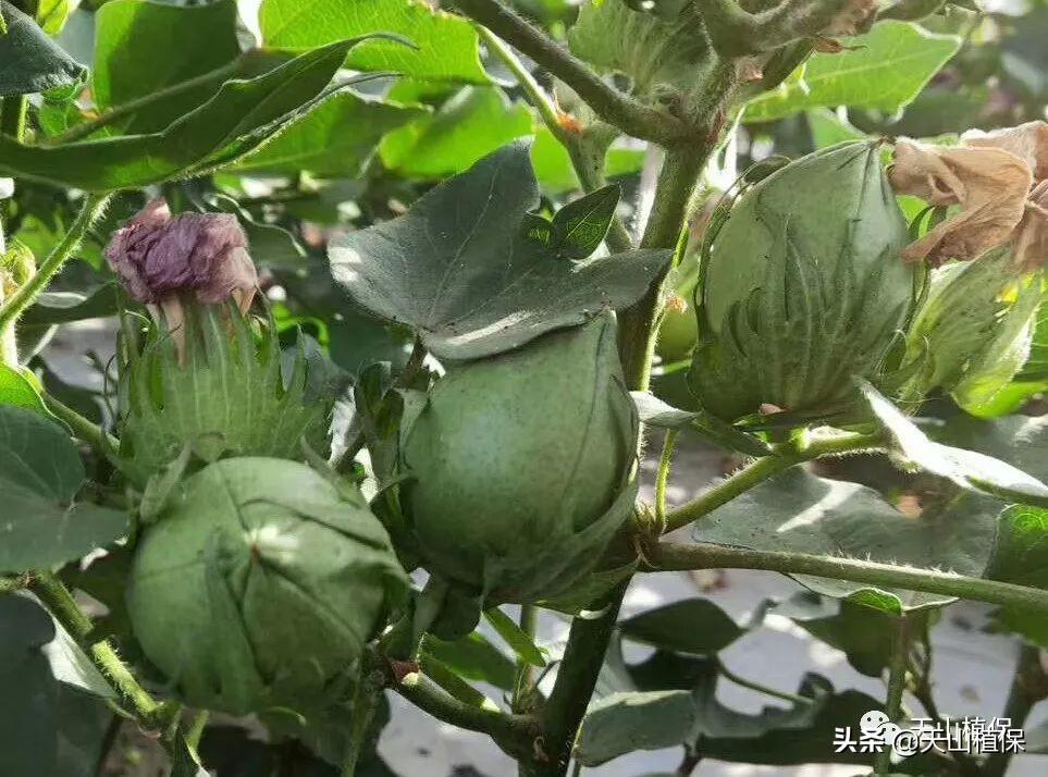 十一高速免费规则/十一高速免费政策规定 十一高速免费规则/十一高速免费政策规定