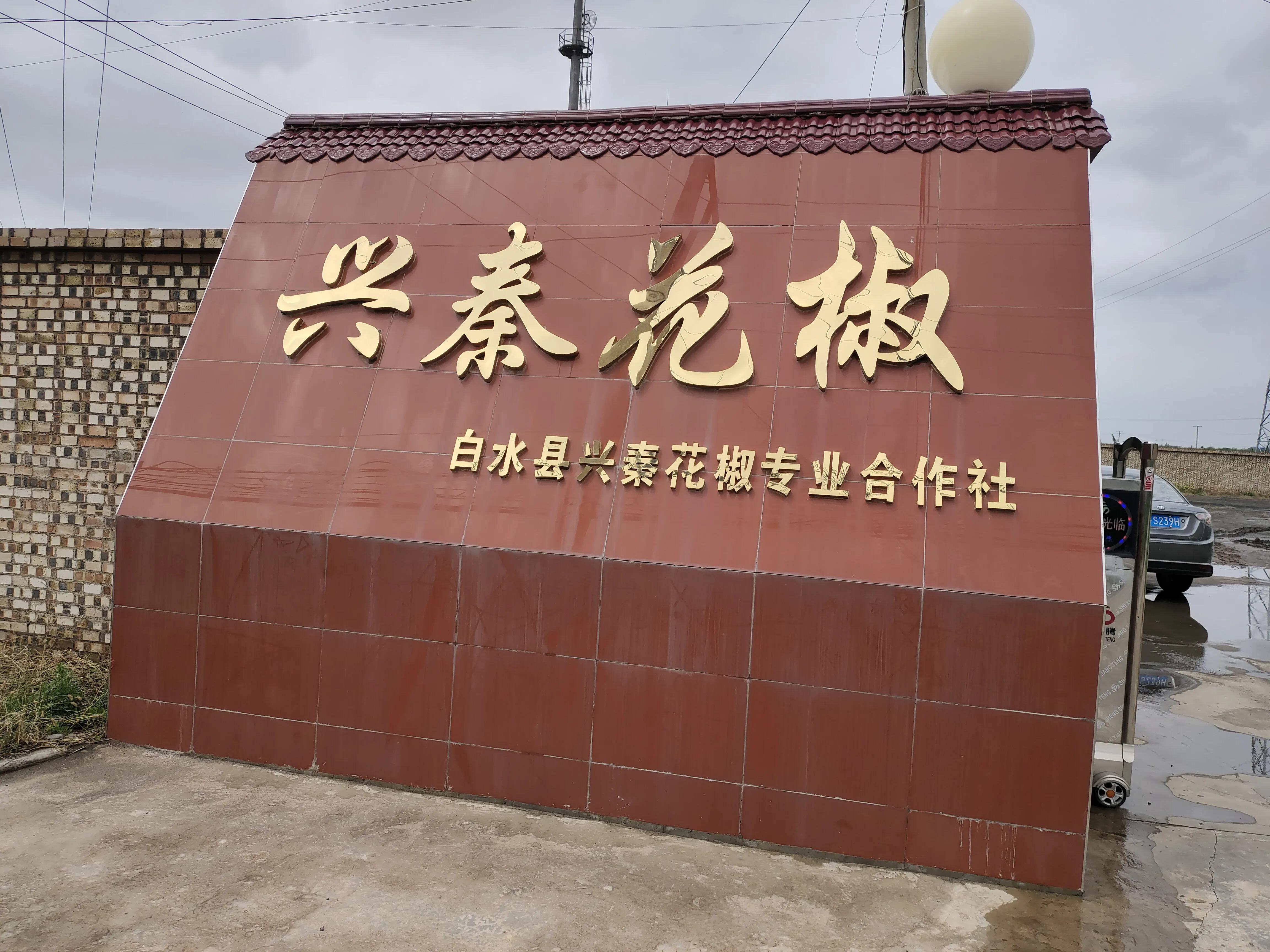 2021各地返乡政策查询/2021年各地返乡政策 2021各地返乡政策查询/2021年各地返乡政策