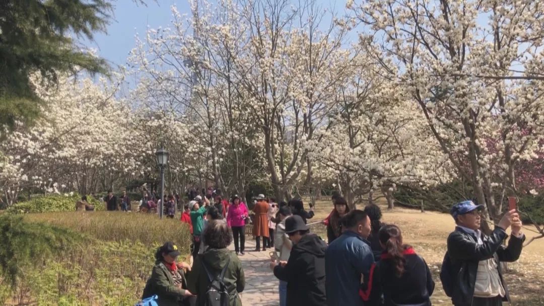 31省增本土确诊42例/31省新增本土确诊病:31省增确诊30例其中本土12例 31省增本土确诊42例/31省新增本土确诊病:31省增确诊30例其中本土12例