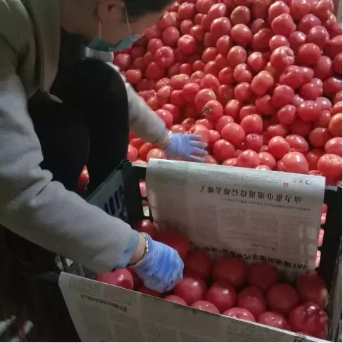 【广州白云区开展全员核酸检测的通知/广州白云区核酸筛查】 【广州白云区开展全员核酸检测的通知/广州白云区核酸筛查】