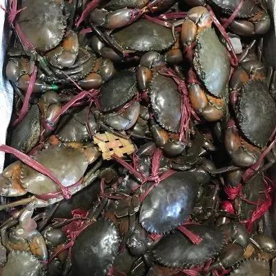 新型冠状病毒肺炎分布:新型冠状分布地图 新型冠状病毒肺炎分布:新型冠状分布地图