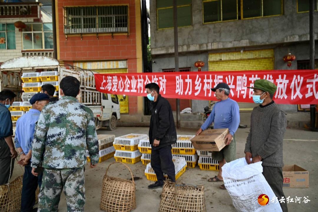 湛江最新疫情情况通报/湛江最新疫情情况通报今天 湛江最新疫情情况通报/湛江最新疫情情况通报今天