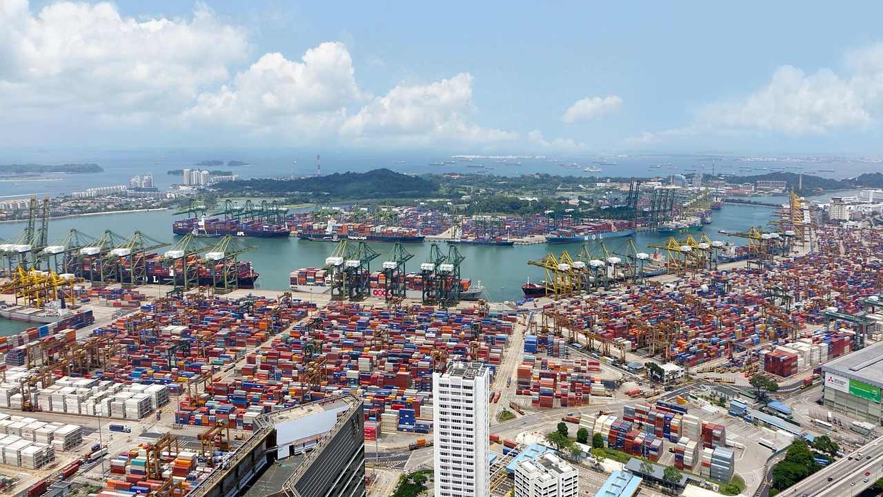 新型冠状肺炎最新消息国际（新冠肺炎国际最新情况）