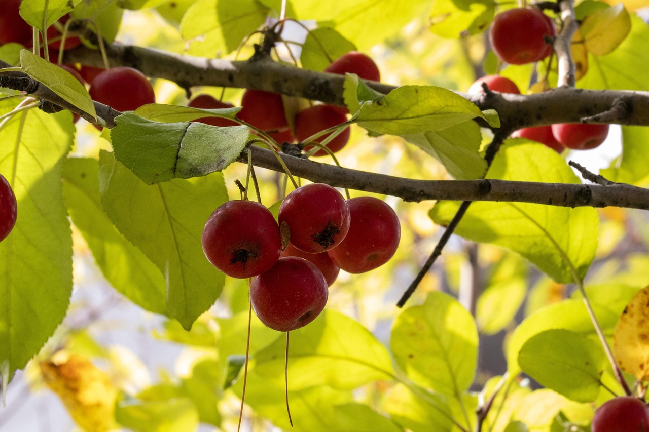 国内是否有德尔塔变异株病毒:国内是否有德尔塔变异株病毒疫苗 国内是否有德尔塔变异株病毒:国内是否有德尔塔变异株病毒疫苗