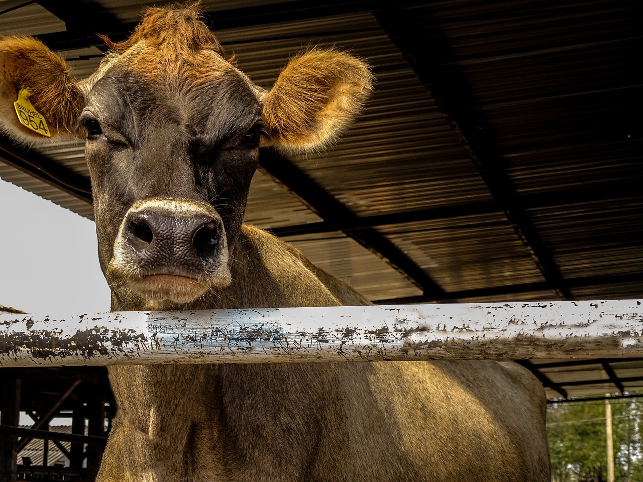 31省区市新增确诊7例本土3例/31省区市新增确诊76例本土40例