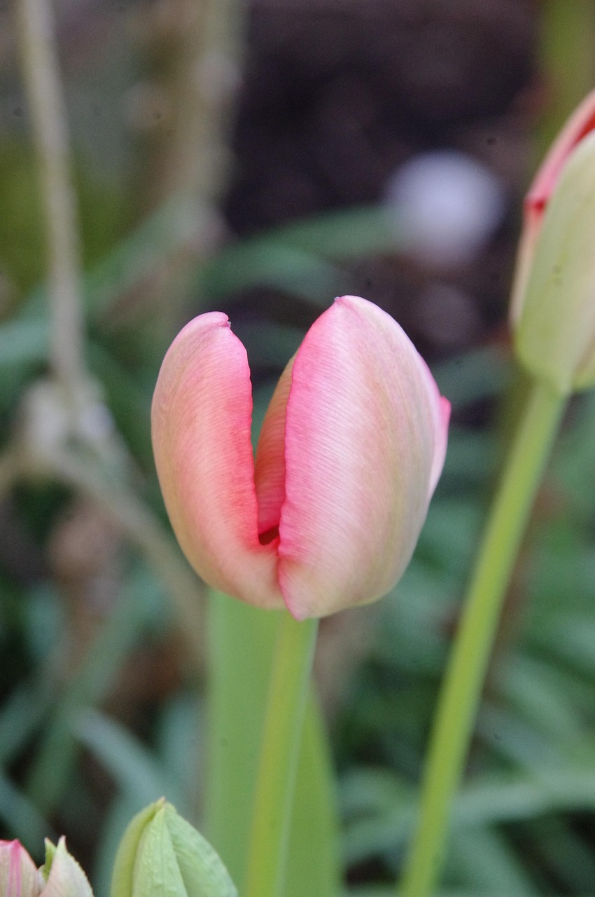 新款捷达13款多少钱/捷达2013款16l自动豪华型口碑