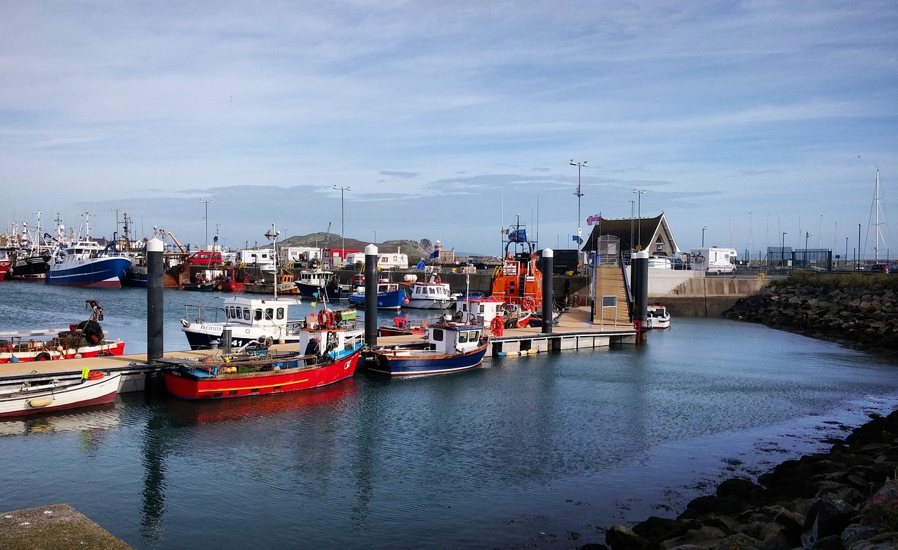 厦门疫情是哪一年发生的(厦门疫情最初在哪里) 厦门疫情是哪一年发生的(厦门疫情最初在哪里)