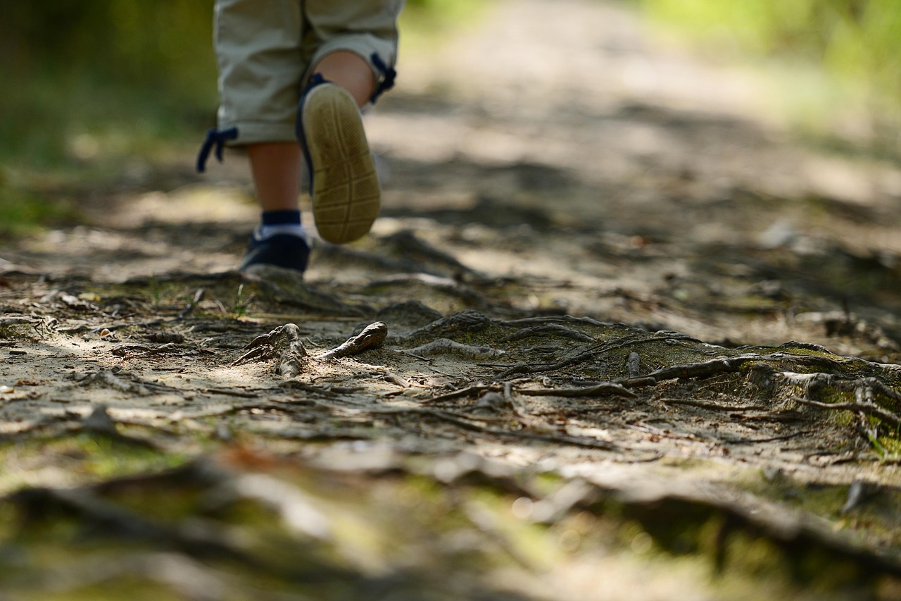 【北京限行/北京限行政策】 【北京限行/北京限行政策】