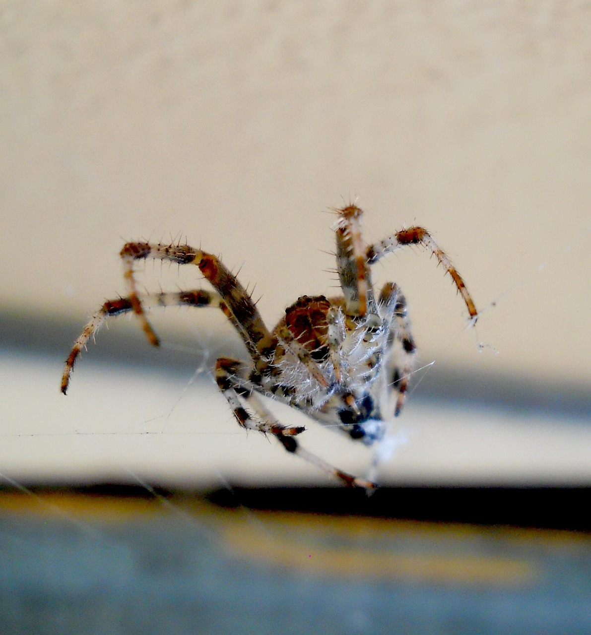 【德尔塔毒株和新型冠状病毒一样吗/德尔塔毒株和新冠病毒症状对比】