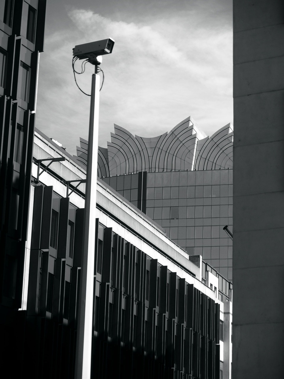 冠状病毒实时动态监测(冠状病毒肺炎动态) 冠状病毒实时动态监测(冠状病毒肺炎动态)