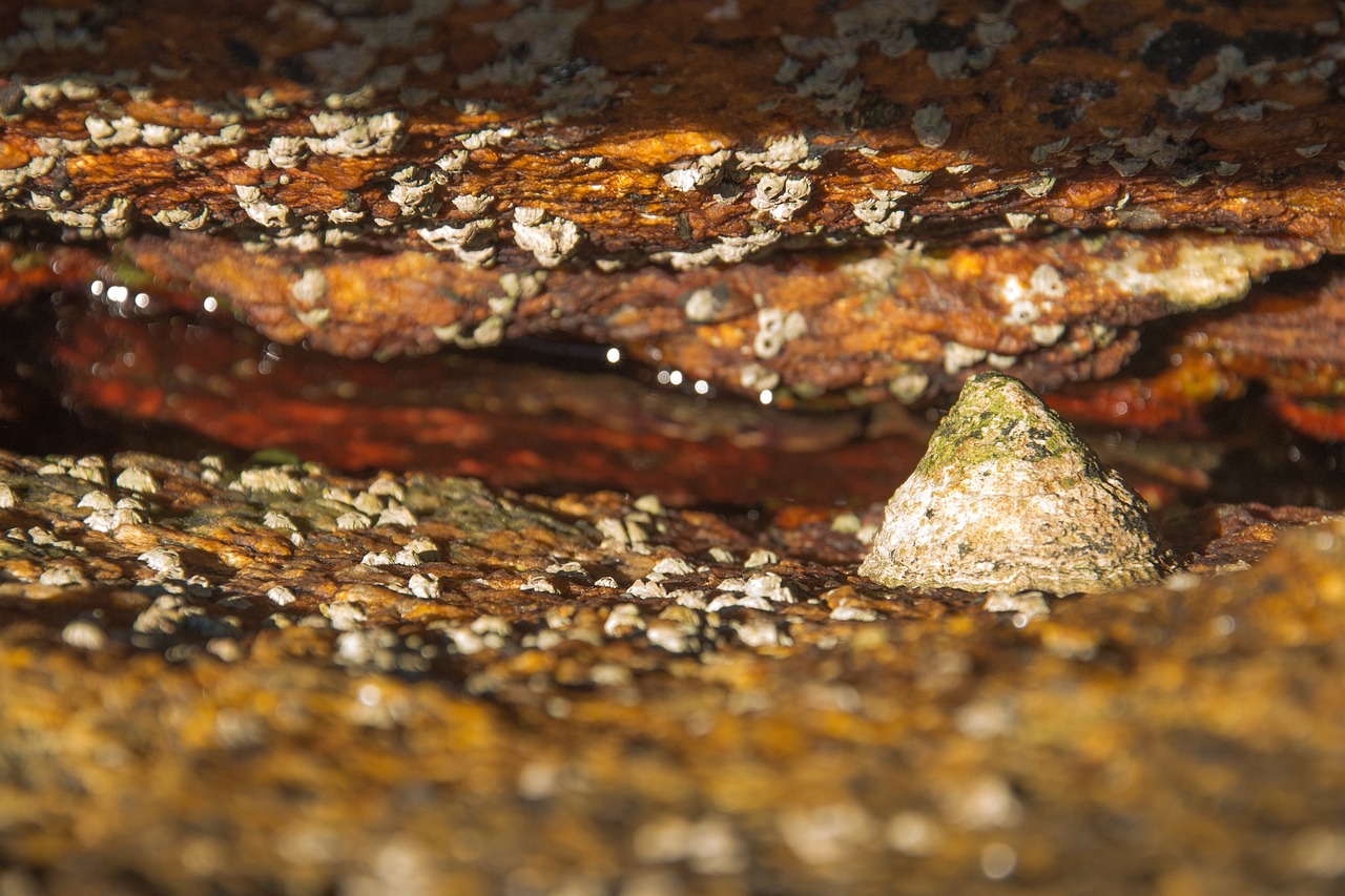 云南疫情实时更新数据/云南疫情实时动态数据