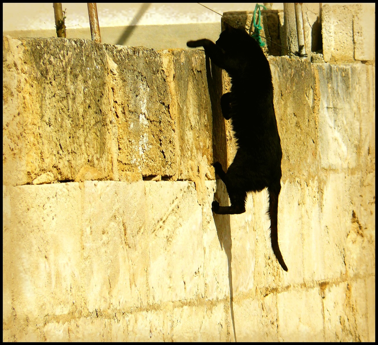 俗话不撞南墙不回头(俗话不撞南墙不回头的南墙指的是什么) 俗话不撞南墙不回头(俗话不撞南墙不回头的南墙指的是什么)