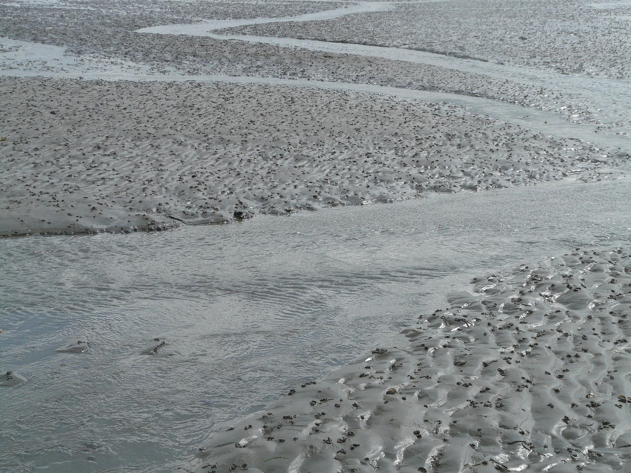 离我最近的地方做核酸检测(离我最近的可以做核酸的地方) 离我最近的地方做核酸检测(离我最近的可以做核酸的地方)