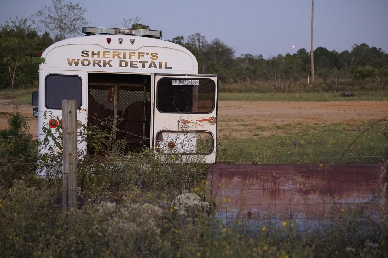 金华交警支队违章查询车辆:金华交警支队违章查询官网 金华交警支队违章查询车辆:金华交警支队违章查询官网