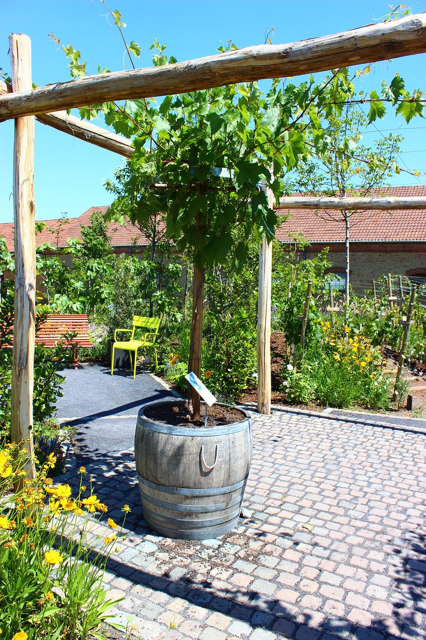 【九天飞院是什么单位,九天飞院怎么样】 【九天飞院是什么单位,九天飞院怎么样】