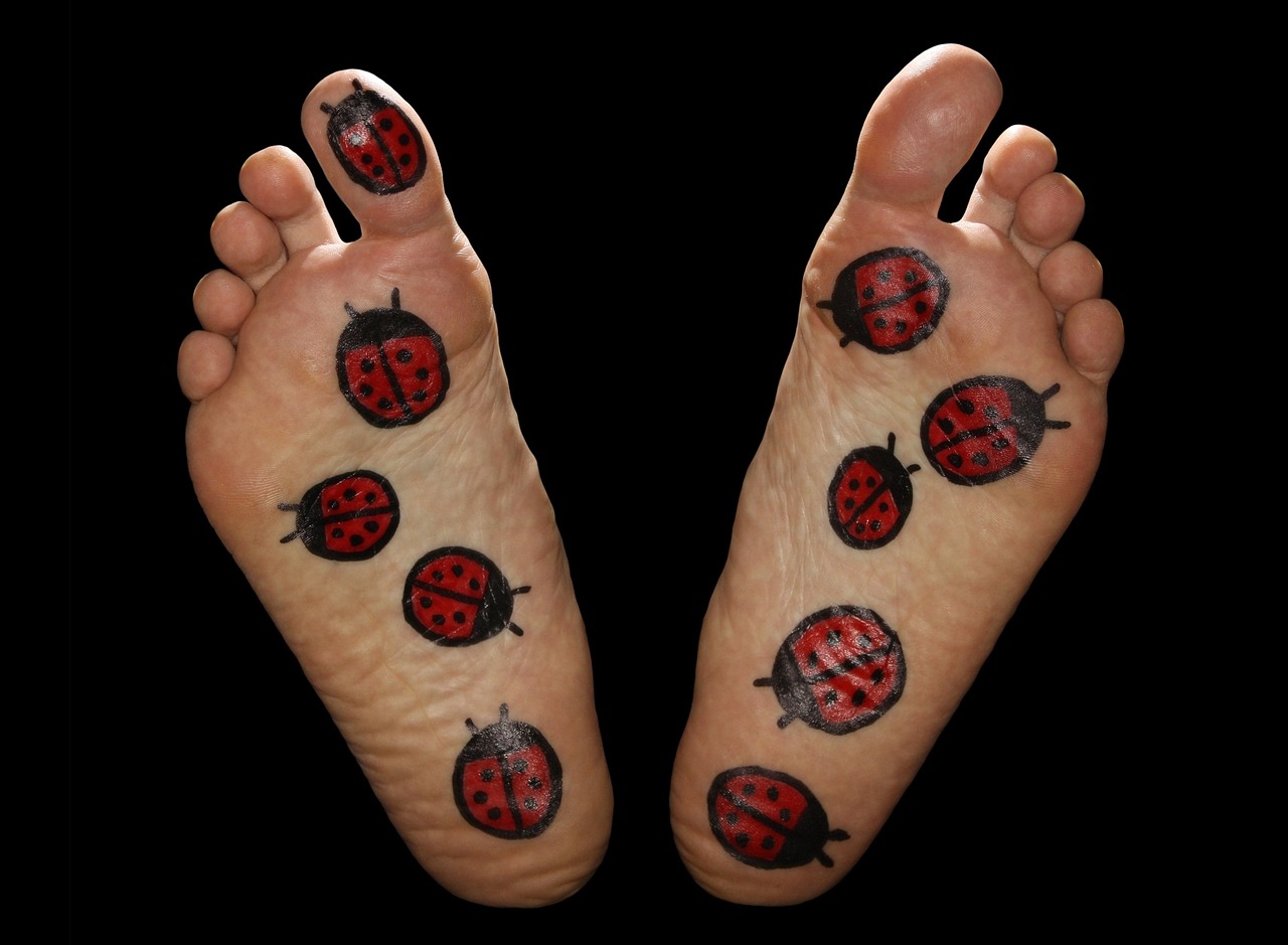 猴痘症状有哪些表现怎么治疗/什么是猴豆 猴痘症状有哪些表现怎么治疗/什么是猴豆