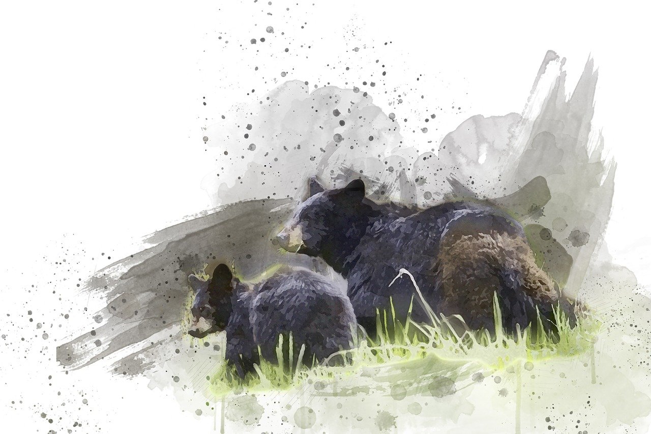 【美国地震了吗新闻,美国地震了吗新闻视频】