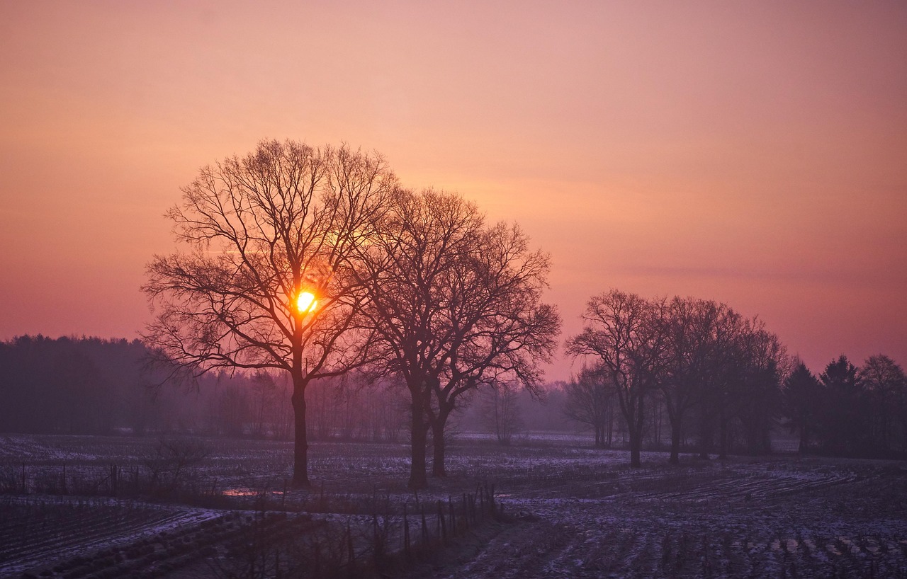 【2021年老君山疫情期间最新/疫情期间老君山开放吗】