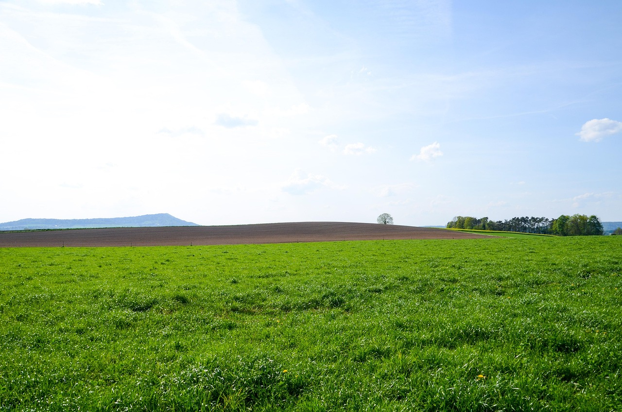 伊犁不接待云南游客（伊犁劝返云南游客）