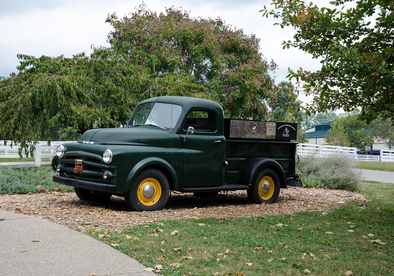 苏fd是哪里的车牌:苏fd是什么地方的车牌