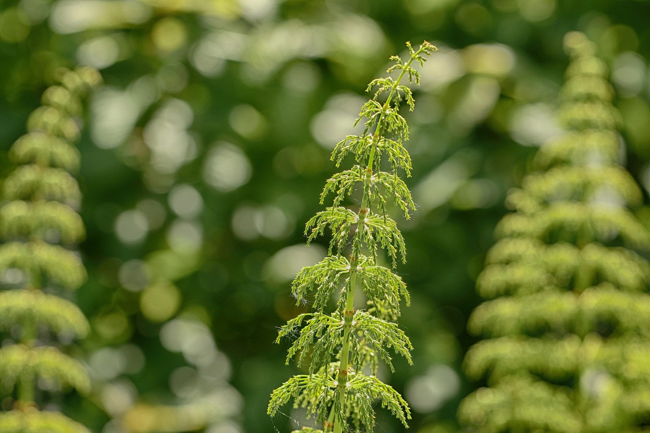 驻马店最新疫情通报今日增加/驻马店疫情动态趋势 驻马店最新疫情通报今日增加/驻马店疫情动态趋势