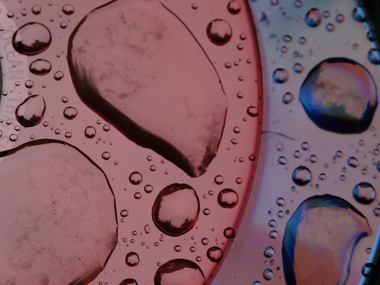 印度毛霉菌传染性强吗/印度毛霉菌病怎么传染 印度毛霉菌传染性强吗/印度毛霉菌病怎么传染