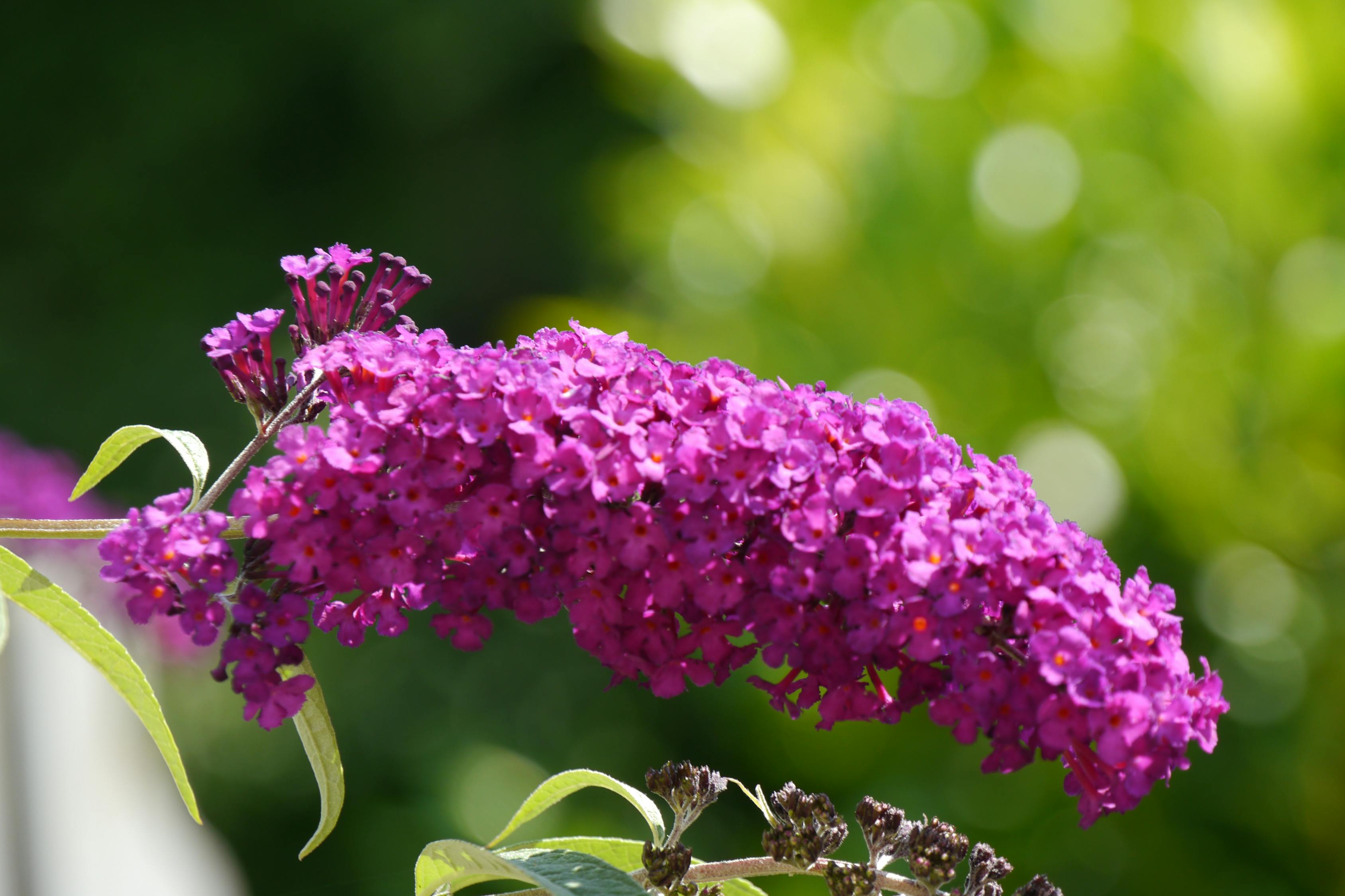 2020最火祝福语四字(2021祝福语4字) 2020最火祝福语四字(2021祝福语4字)