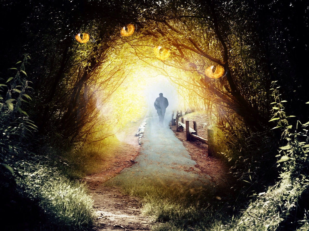 玛格瑞亚5个小时刷了（wow马格瑞亚蹲守地点）