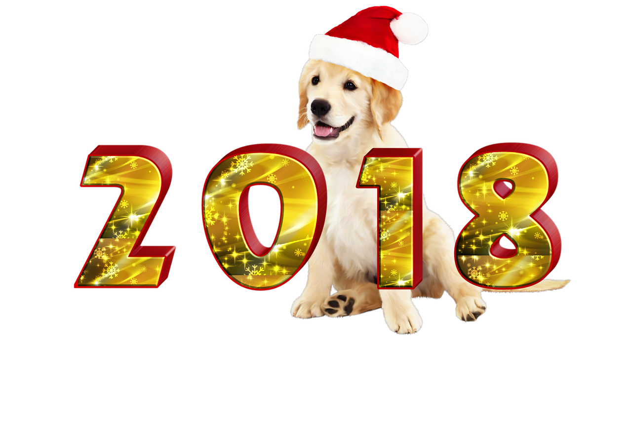 【2022元旦放假几天法定/2022年元旦假期放几天假】